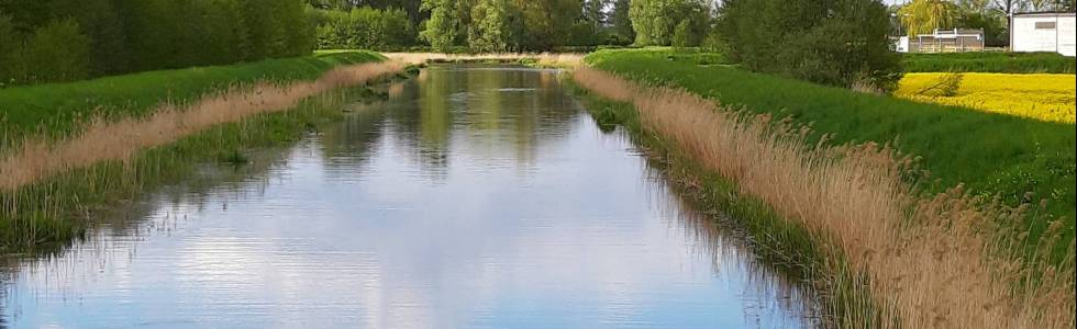 wietrzna wycieczka po Żuławach Gdańskich szlakiem mennonitów