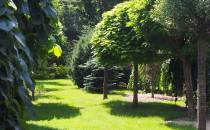 Arboretum przy leśniczówce