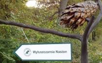 wyłuszczarnia nasion