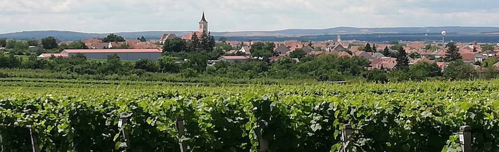 Cejkovice - Velkie Bilovice Morawskie szlaki winne