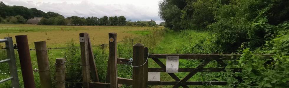 ścieżka edukacyjna nad rzeką Stour, Pamphil koło Wimborne