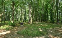 Cmentarz wojenny z okresy Bitwy Łódzkiej