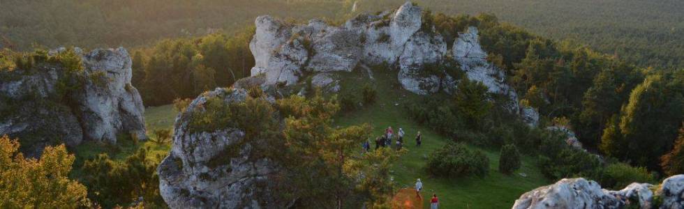 JURAJSKI FESTIWAL BIEGOWY 2020 - JURA TRAIL 50