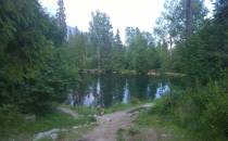 pleso love