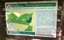 Rezerwat przyrody Pilawski Grąd
