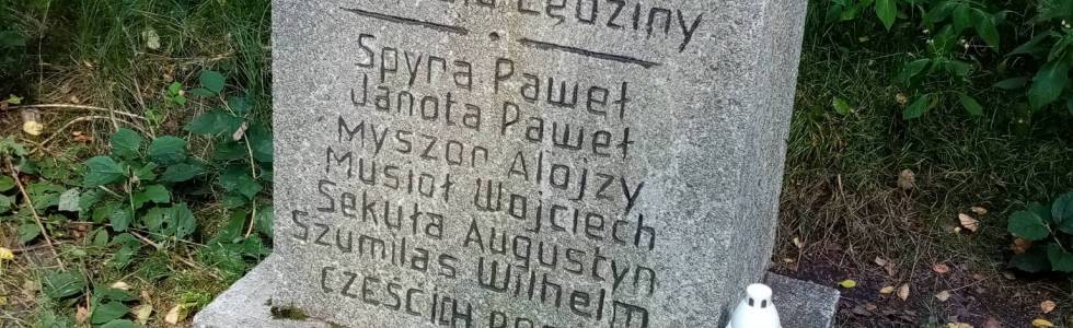 w zdłóż przemszy