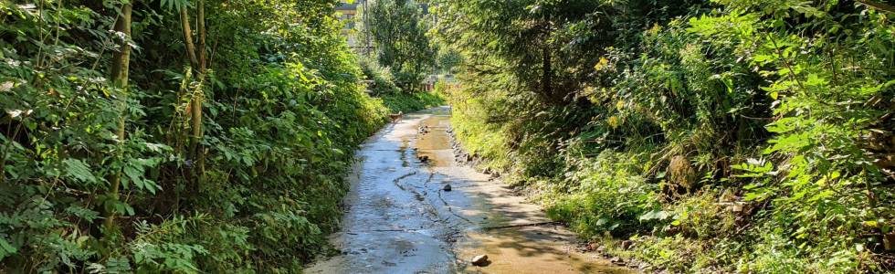 Turbacz z Obidowej przez Stare Wierchy