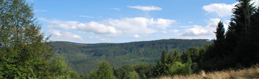 BESKID MAKOWSKI (ŻYWIECKI) - PASMO Przedbabiogórskie - Pasmo Mędralowej - Mędralowa