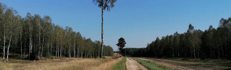 2020.09.12 - Rudy - Park Krajobrazowy