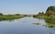 Narew w Kaniukach