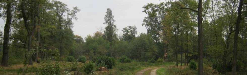 park zwierzyniec