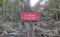 Las Popioły ZPK Ruda Willowa