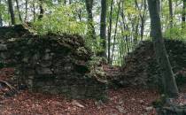 Ruiny zamku Ostrężnik