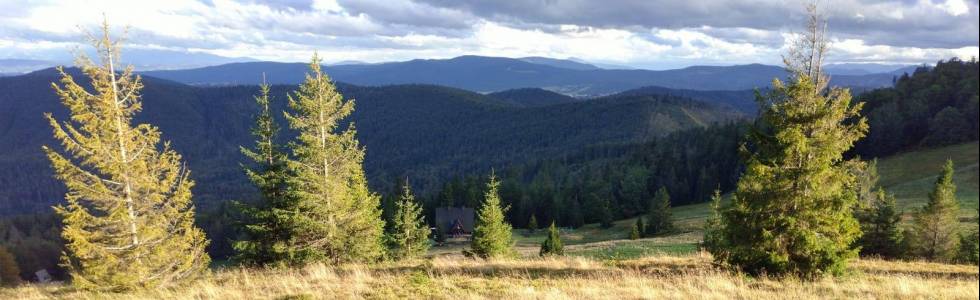 Rowerowa pętla: Rycerka Dolna, Przegibek, Rycerzowa