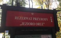 Jezioro Orle.