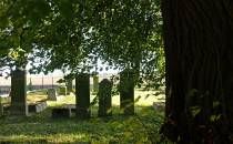 Odnowiony cmentarz mennonicki w Szaleńcu