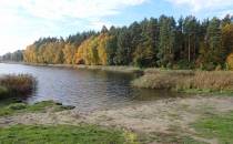 Plaża nad Jeziorem Rokickim Dużym