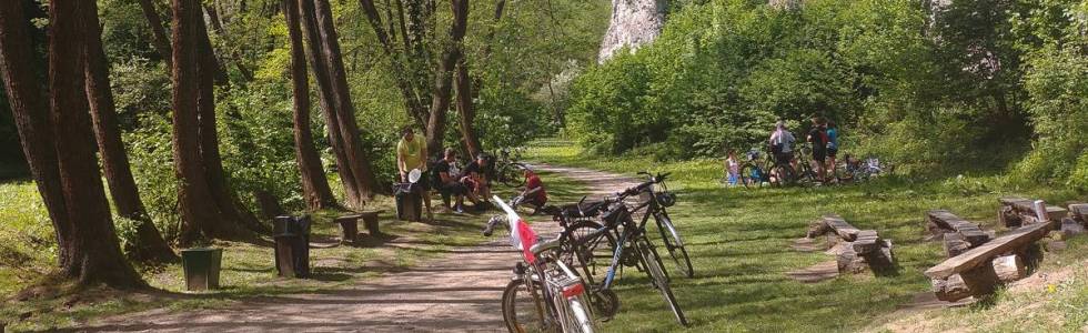 Z Trzebini przez Puszczę Dulowską i Dolinę Mnikowską do Krakowa