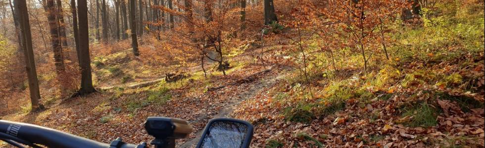 Flow Matusa 1.0     MTB Kraków - Lasek Wolski i Sikornik