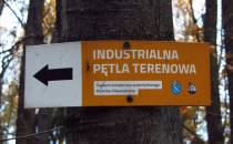 Industrialna pętla