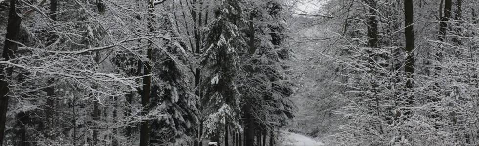 Koszarawa snow