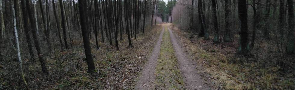 las Chechło - Dąbroń