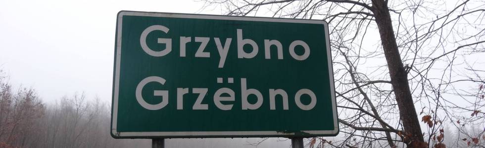 Lasy koło Grzybna