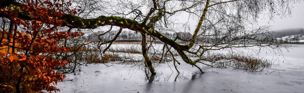 Rezerwat Ostrzycki Las i okolice