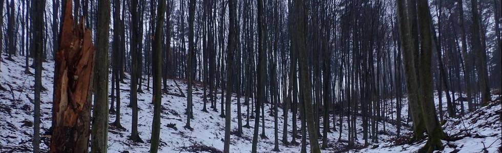 Wzniesienia górujące nad potokiem Zagórskiej Strugi