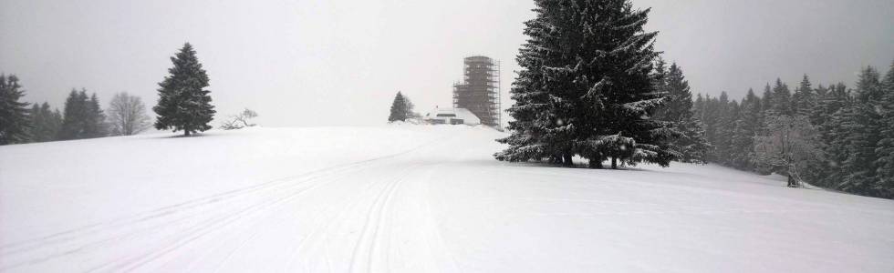 Větrov (918 m n.p.m.)  - bieg do czeskiej repliki wieży na Śnieżniku