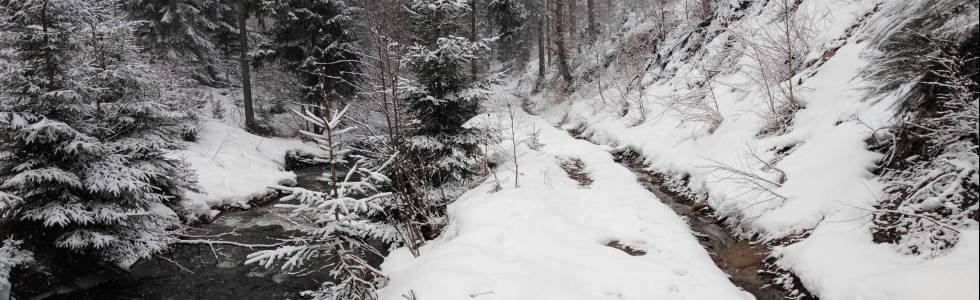 Skitur koło granicy.