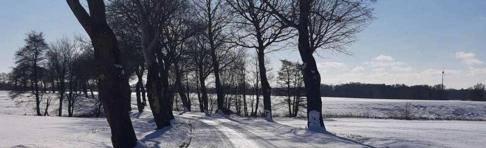 Grzegorz Gorzoch
Wrzosowo, Gąskowo, Dygowo, Wrzosowo 
 14-02-2021