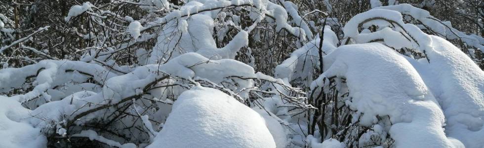 Zimowy spacer w Krasnem Trasa 15_02_2021 13:54