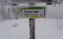Polana Łąki