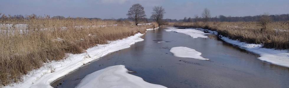 Ruda - włości jego hrabiowskiej mości