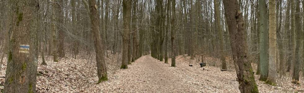 Trasa Szlakami wzniesień chełmskich - 23.03.2021 r.