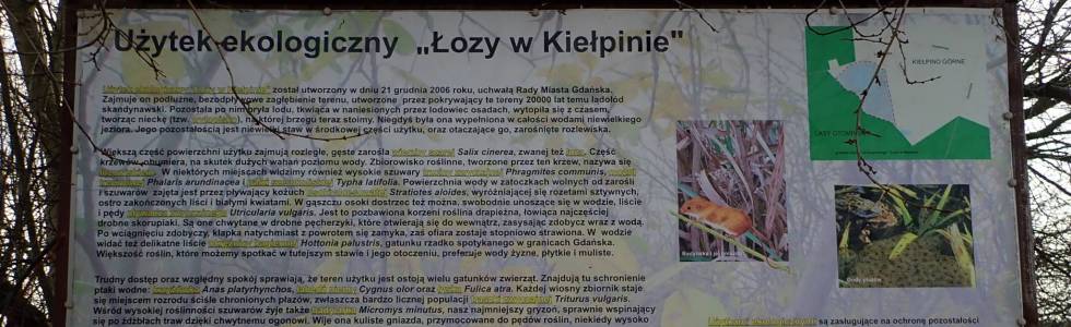 Łozy w Kiełpinie Tour - Marzec 2021