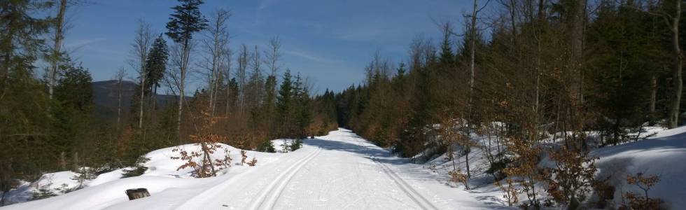 Jakuszyce - bieg na koniec  sezonu narciarckiego