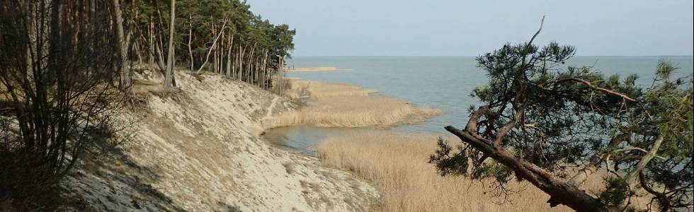 Plaże, wydmy, klify Mierzei Wiślanej