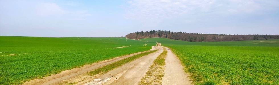 Szlakiem Bielika