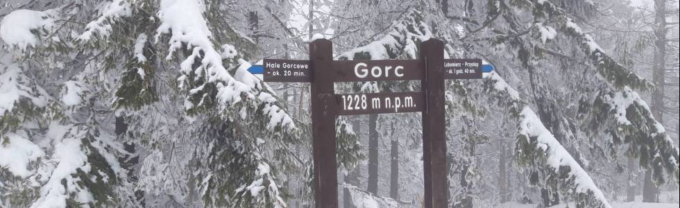 Gorc