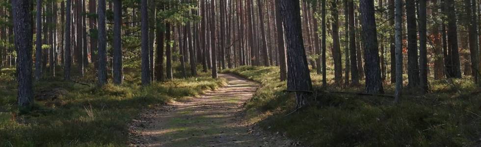 Z Mierzei Wiślanej do Elbląga płasko i asfaltowo ale fajnie