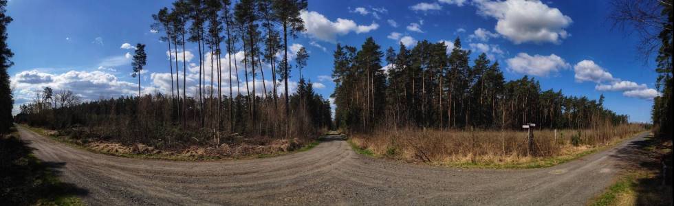 Lokalna turystyka rowerowa Lubin - Rokitki - Żelazny Most