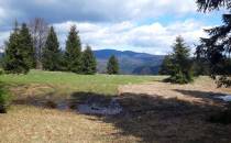 Widok na Beskid Sadecki