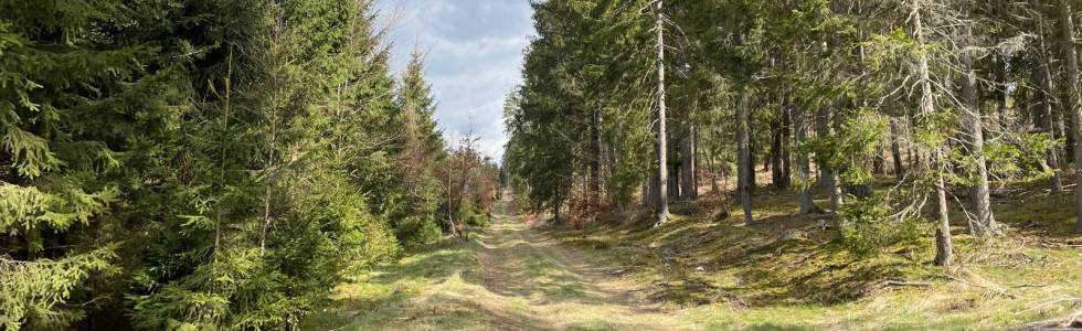 Trasa Wokół DOL-a (Drogowy odcinek lotniskowy) - 03.05.2021