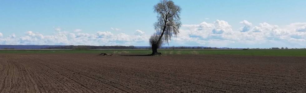 Rezerwat Kąty Rybackie i Mierzeja Wiślana