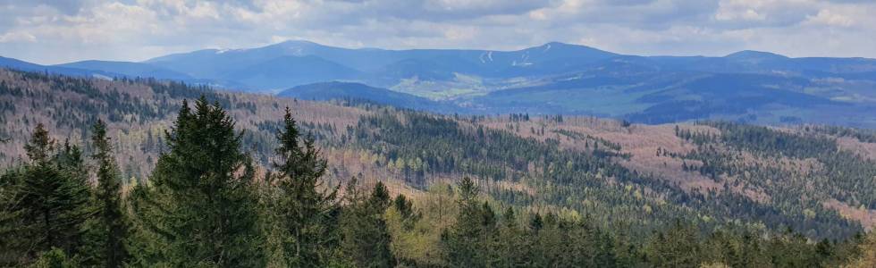 Lądek Zdrój - Trojak - Skalna Brama - Zamek Karpień - Królówka