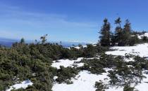 Widok na Tatry