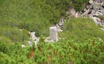 Kamień Karłowicza, Zakopane