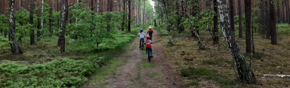 Kampinos - dookoła Bagna Cichowąż